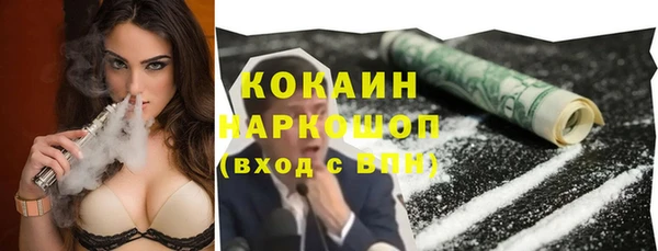 сатива Армянск