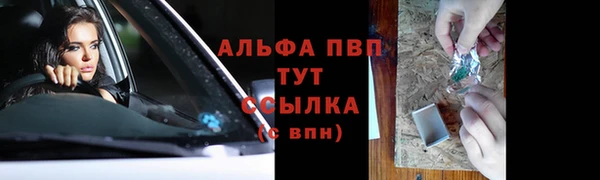 гидра Алзамай