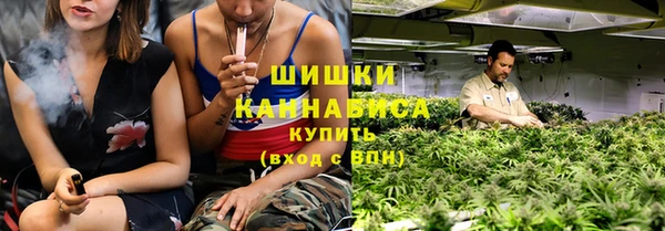 сатива Армянск