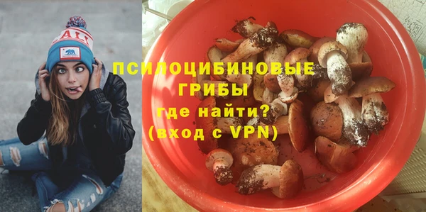 гидра Алзамай