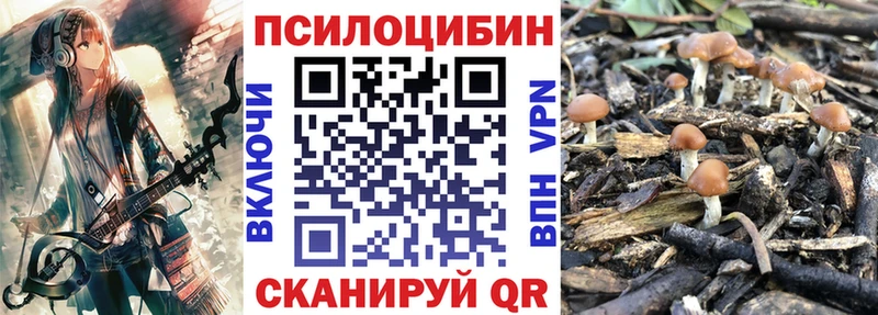 Купить где  Тогучин  Галлюциногенные грибы Magic Shrooms 